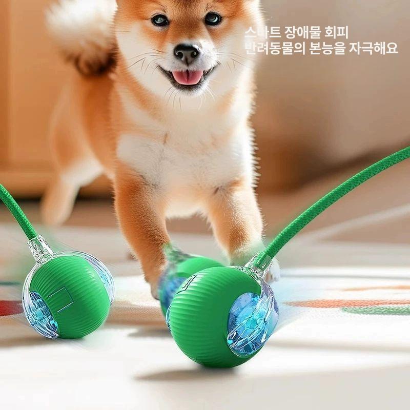 최고급 고양이장난감 움직이는 양모공 달린 낚시대 캣닢 사냥놀이 플러시 쥐돌이 - 상세 이미지 4