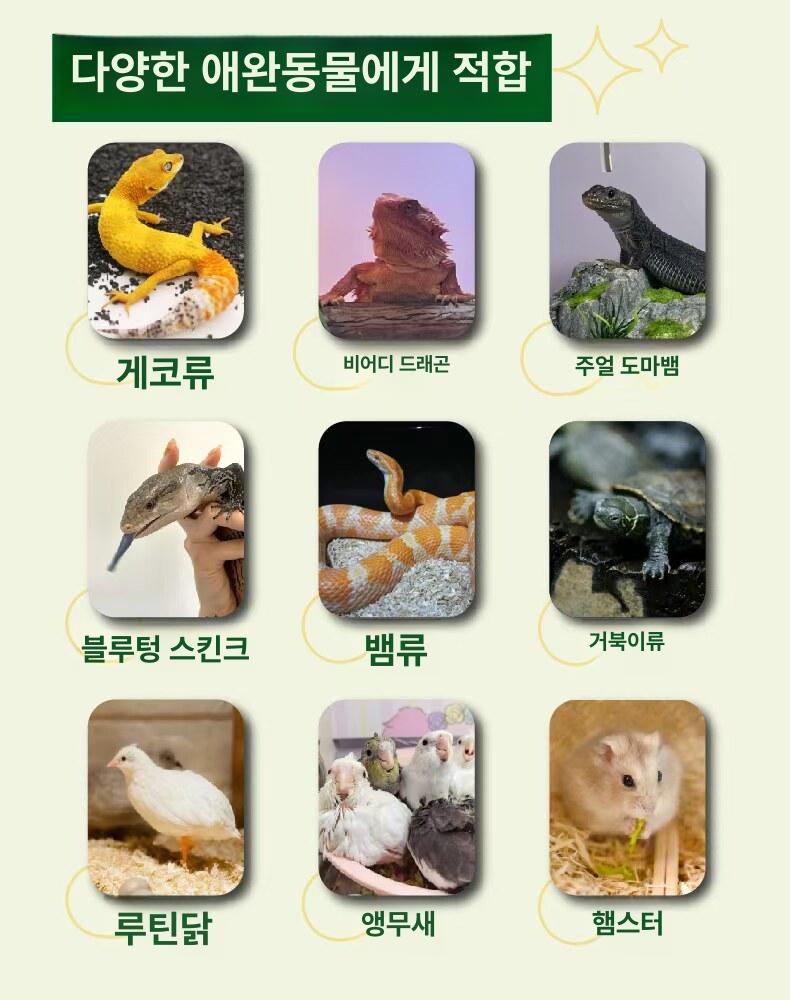스마트 파충류사육장 케이지 온도조절 상자 도마뱀사육장 은신처 항온 온습도 환풍기 이미지 6