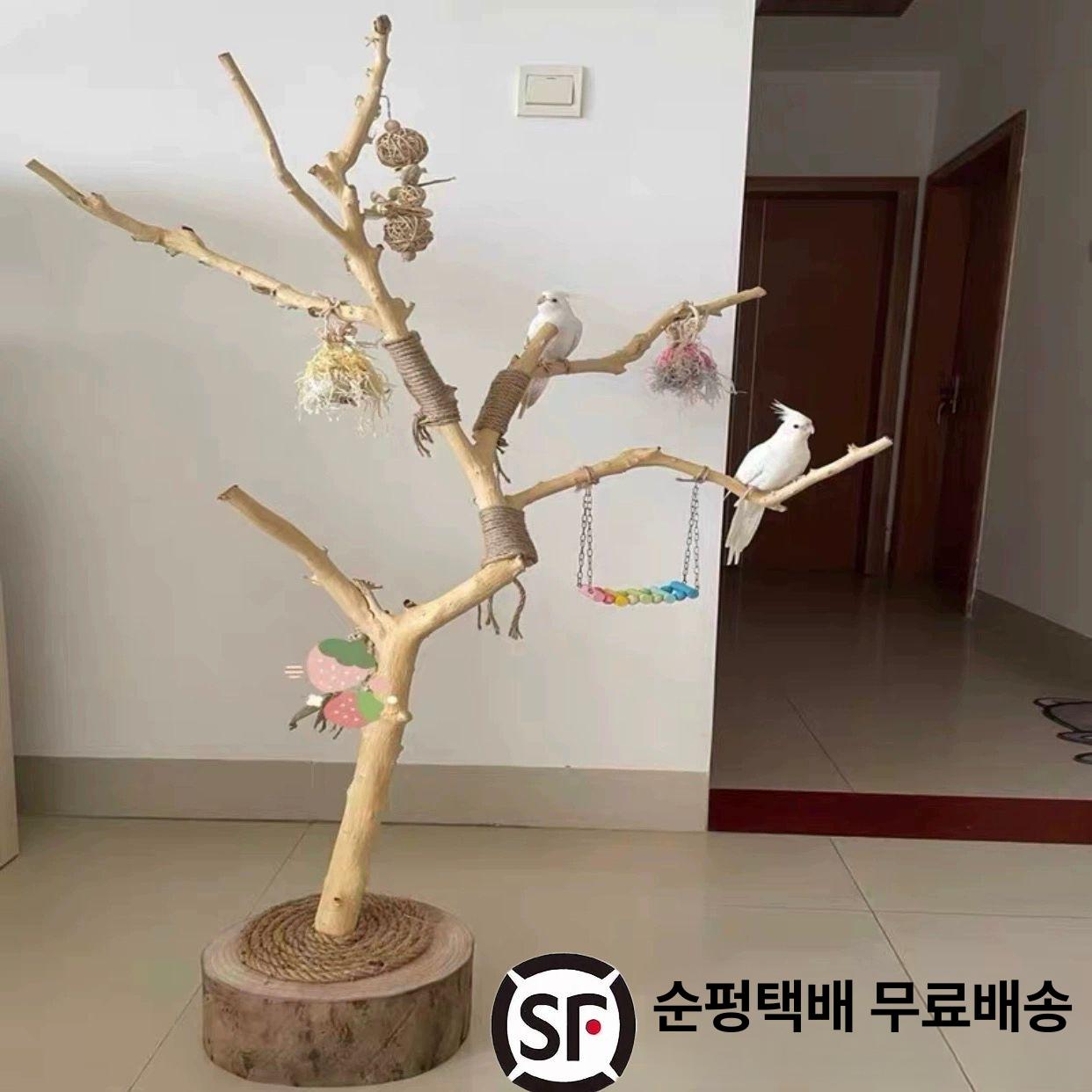 원목 앵무새타워 조류 높이 나뭇가지 폴대 사다리 장식 놀이터 스탠드 앵무새횟대 - 상세 이미지 2