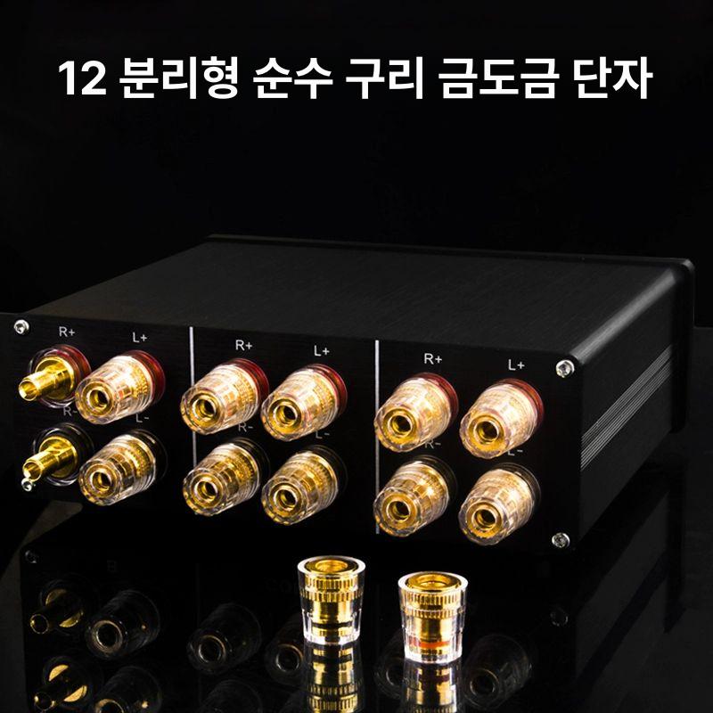 증폭기 스피커튜닝 듀얼 채널 전력 앰프 오디오 사운드 시스템 클래스 입력 호환 - 상세 이미지 4