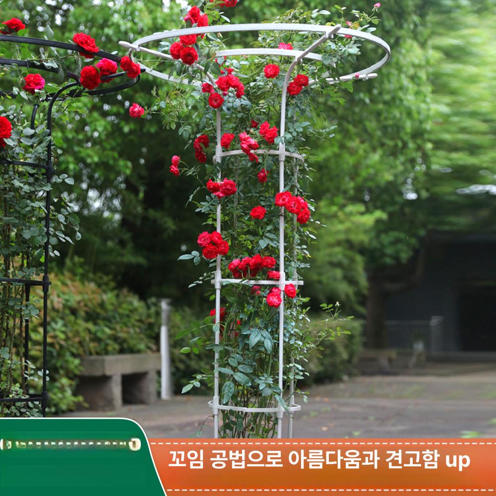 오벨리스크 식물지지대 원예 테라스 지주대 넝쿨식물 정원 화단 장미아치 - 상세 이미지 2