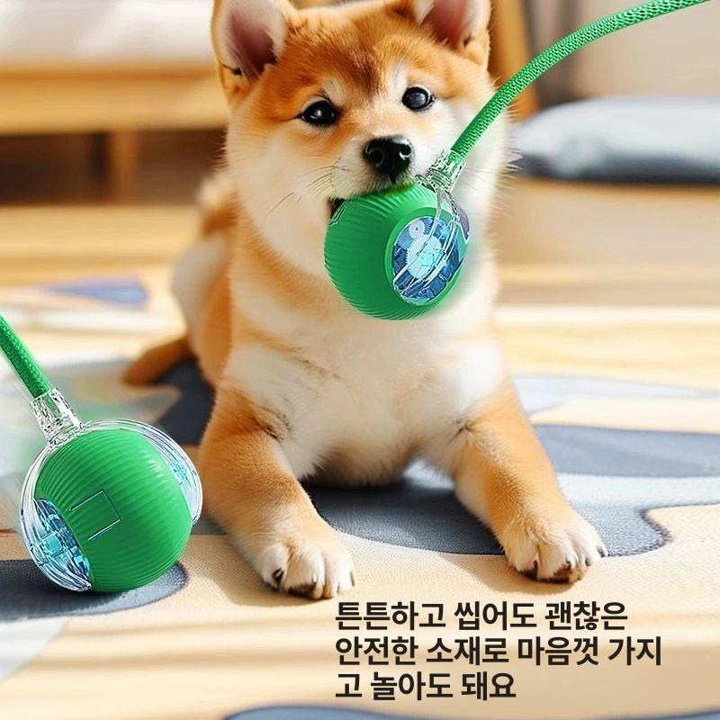 최고급 고양이장난감 움직이는 양모공 달린 낚시대 캣닢 사냥놀이 플러시 쥐돌이 - 상세 이미지 3