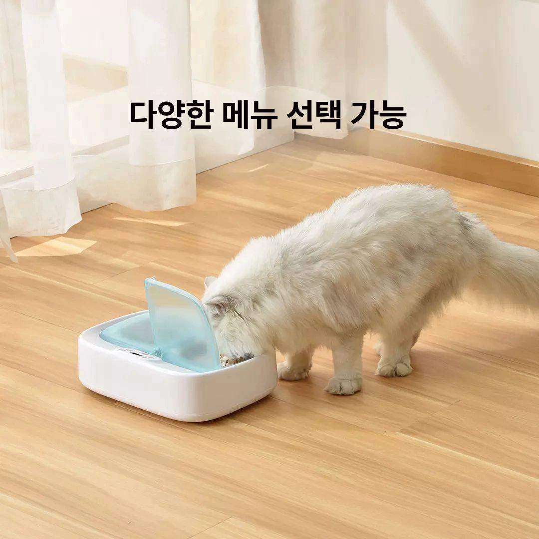 공급기 고양이자동배식기 타이머 급여기 반려동물 습식 원격 강아지자동배식기 - 상세 이미지 3