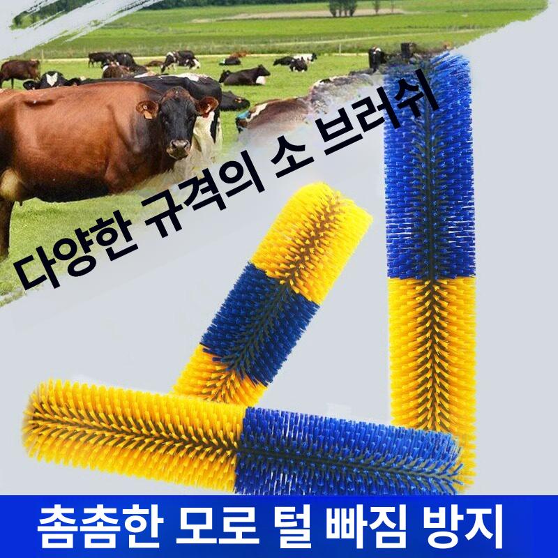 회전 카우브러쉬 축사 우사 긁기 카우브러시 소등긁개 젖소 농업용 목장 한우 털갈이 - 상세 이미지 3