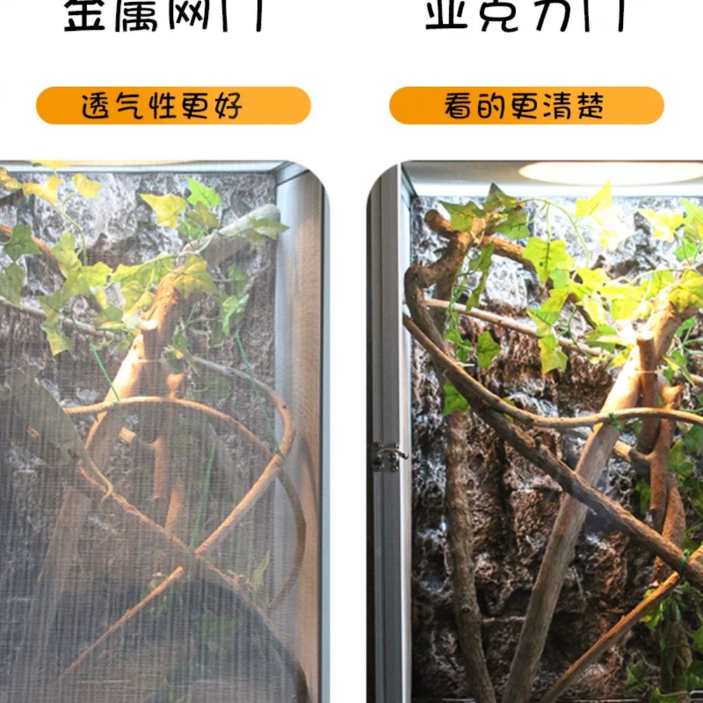 카멜레온 도마뱀아크릴사육장 게코 파충류사육장 - 상세 이미지 3