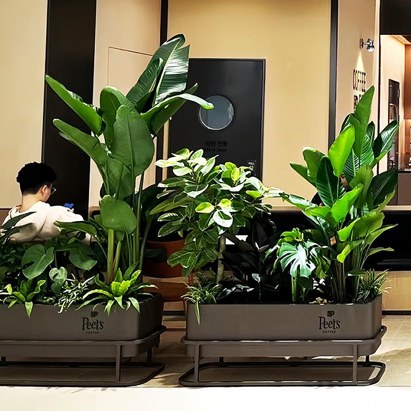 카페 철제플랜트박스 야외 가드닝 식물 테라스 철제화분 대형 화단 직사각형 발코니 - 상세 이미지 5
