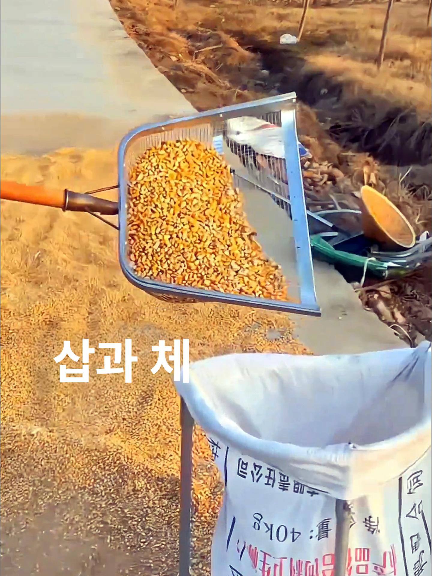 철망 삼태기 농기구 체 바구니 갈퀴 돌고르는삽 돌고르기 농사 거름 채삽 돌고르는채 - 상세 이미지 2