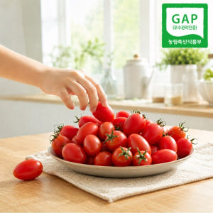 프리미엄 대추 방울토마토 로얄과 2kg 당일수확 산지직송 맛있게 먹은 솔직 후기 - 상품 이미지 1