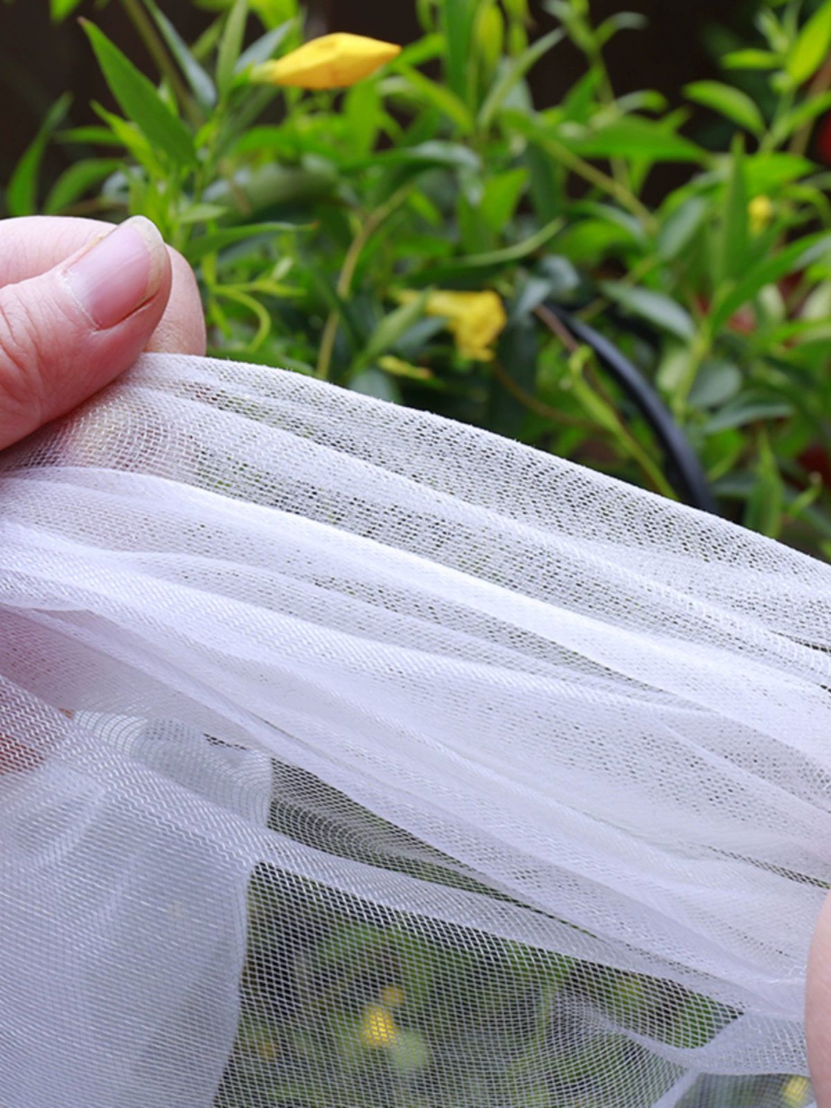 채소망 농사용모기장 다용도 농사용방충망 농작물 원단 망사 보호망 해충방지 - 상품 이미지