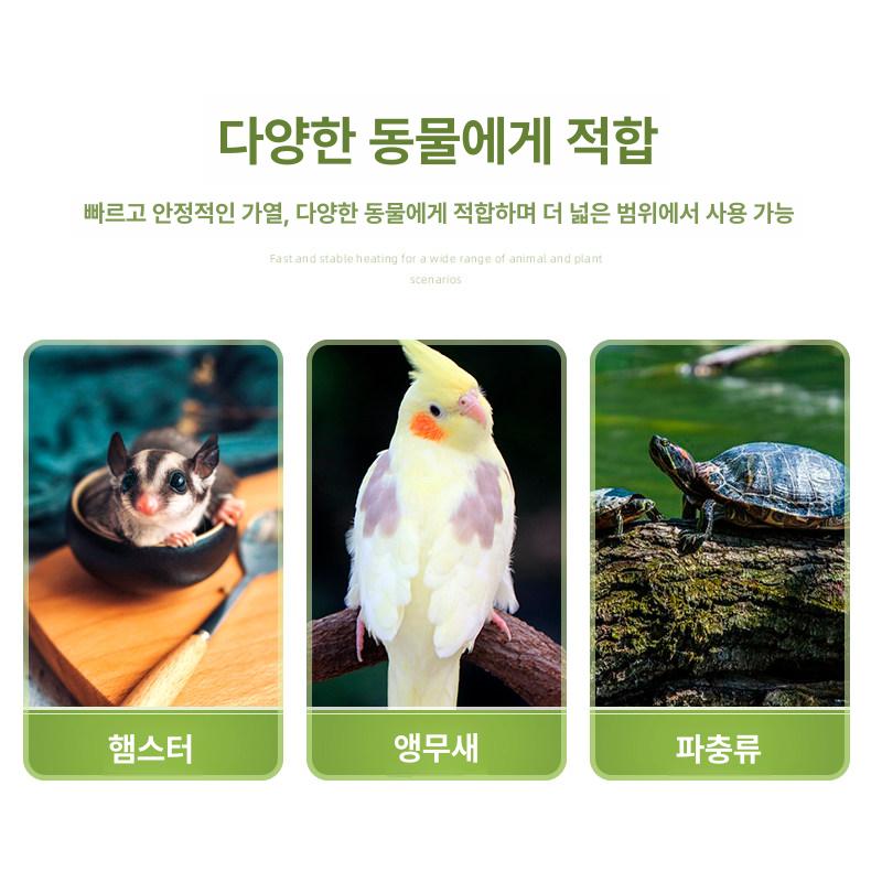 앵무새 램프갓 격리장 조류 새장 온열등 보온등 열전등 온열기 라이트 조절기 전구 - 상세 이미지 3