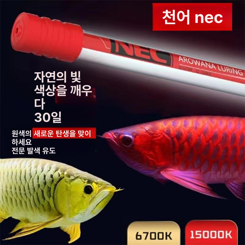 수족관 홍용태닝등 전용 어항 수중등 열대어 발색램프 발색등 태닝램프 발색조명 - 상세 이미지 4