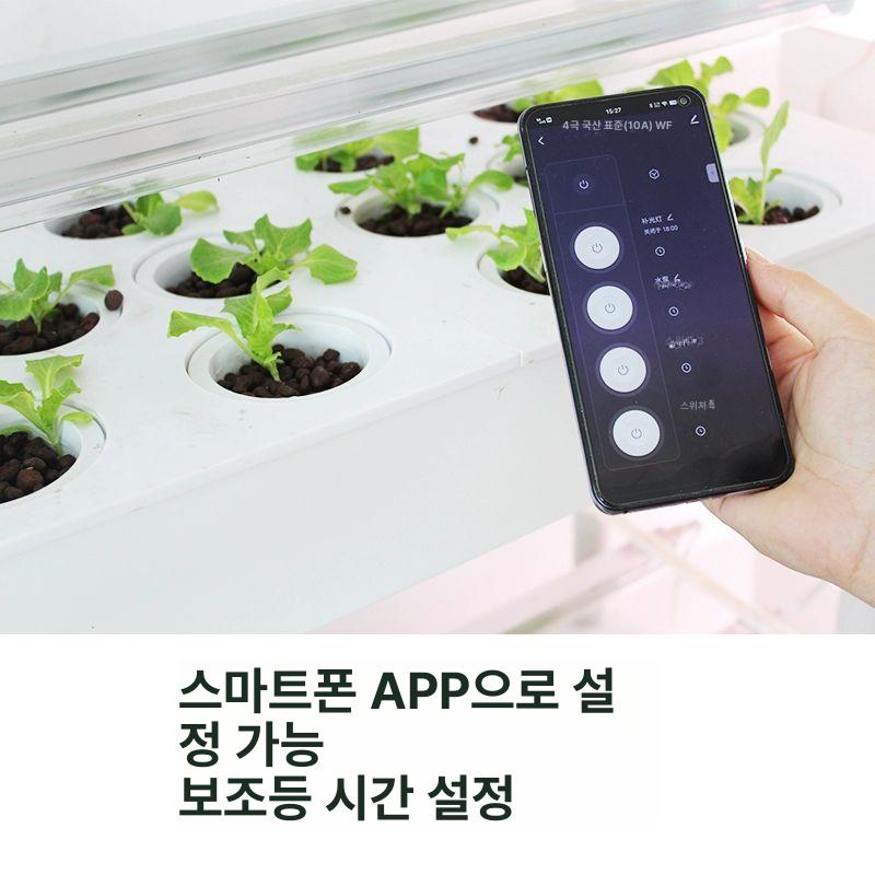 가정용 양액기 수경재배 채소 바질 키우기 새싹 무토양 스마트 야채재배기 관비기 - 상세 이미지 4
