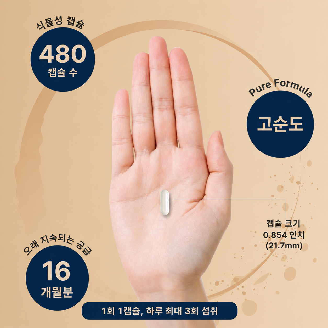 글리시네이트 마그네슘 킬레이트 500mg 고순도 베지 캡슐 240정, 2개 - 상세 이미지 3
