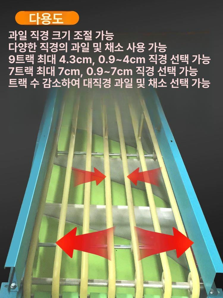 과일 채소 곡물 자동 선별기 분류기 감자 블루베리 체리 귤 감 사과 분리 검사 기계 - 상세 이미지 3