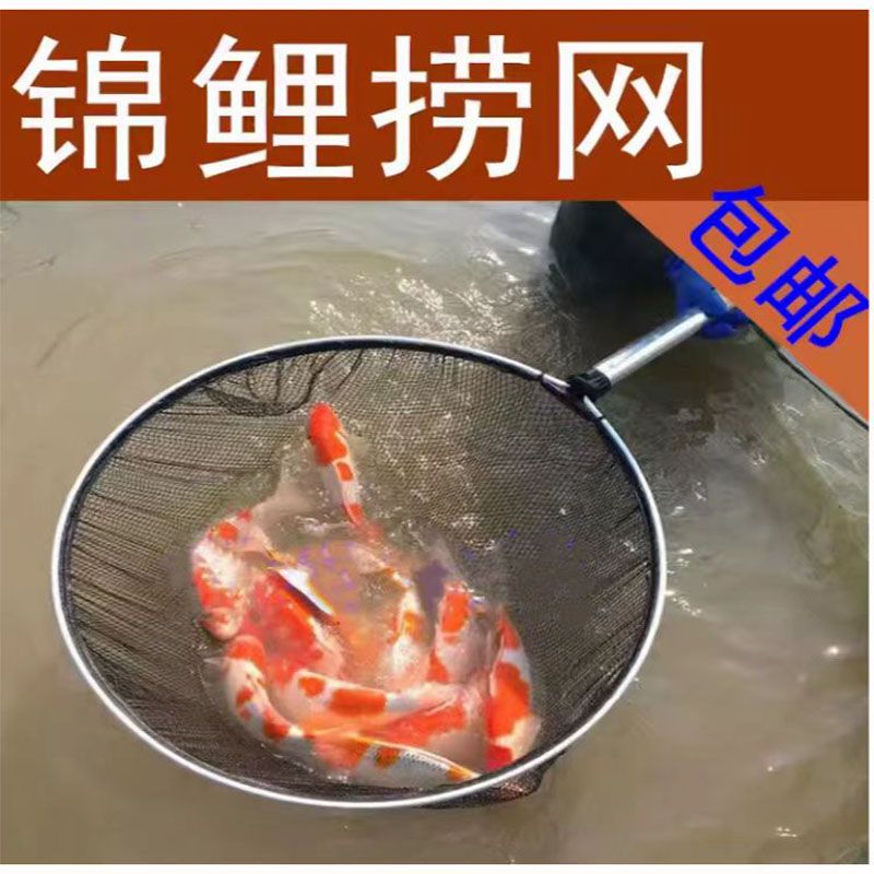 통발 대형 뜰망 그물망 수조 비단잉어 어망 신선망 바다뜰채 뜰채망 민물뜰채 낚시 메쉬 세트 50 직경 알루미늄 합금 핸들 60CM - 상세 이미지 5