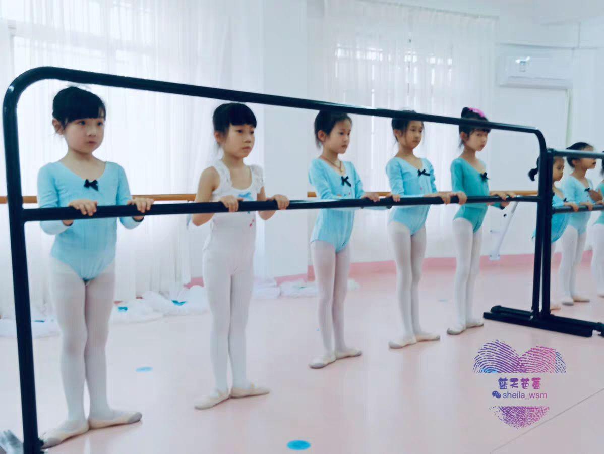 발레바 스트레칭봉 연습용 요가 스트레칭바 댄스바 발레봉 무용바 홈트 고정식 연습봉 - 상세 이미지 2