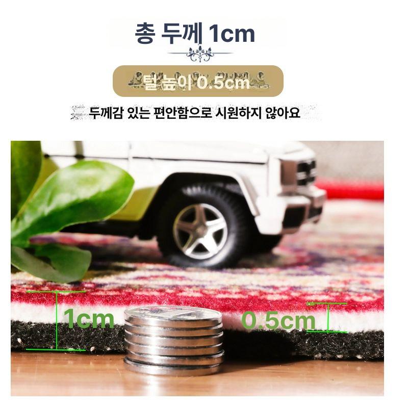 엔틱카페트 카펫트 꽃무늬 소형 러그 매트 북유럽 스타일 페르시안 거실 인테리어 - 상세 이미지 4