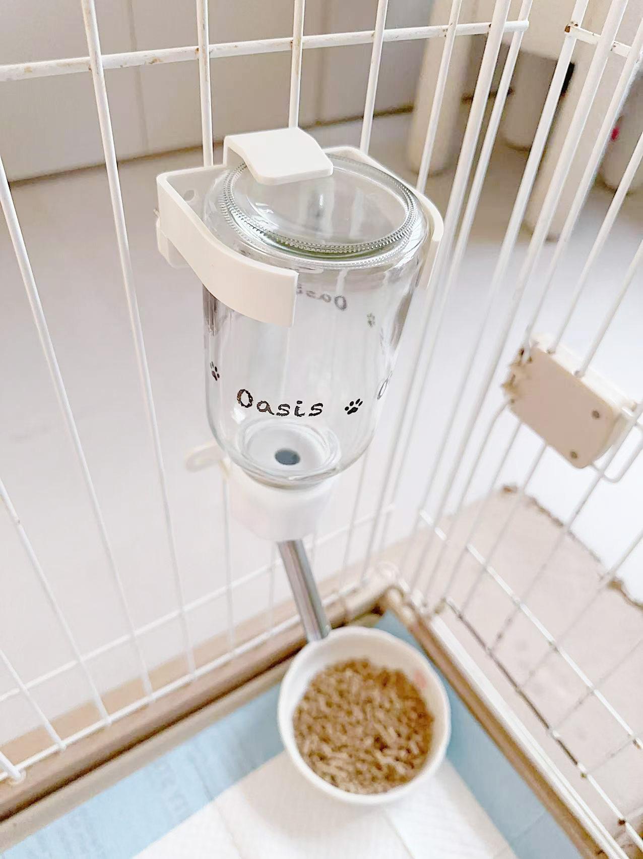 오아시스 물병만 문구형 세트 급수기 물통 산책 반려동물 - 상세 이미지 3