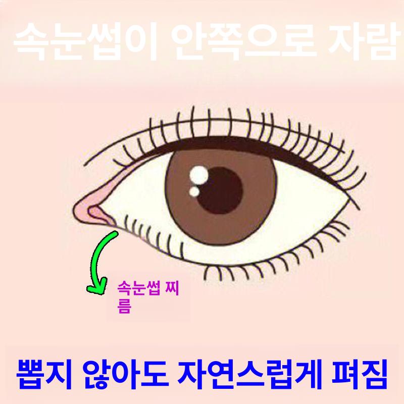 속눈썹집게 집게속눈썹고데기 컬링 메이크업 히팅뷰러 부분뷰러 언더뷰러 온도조절 - 상세 이미지 2