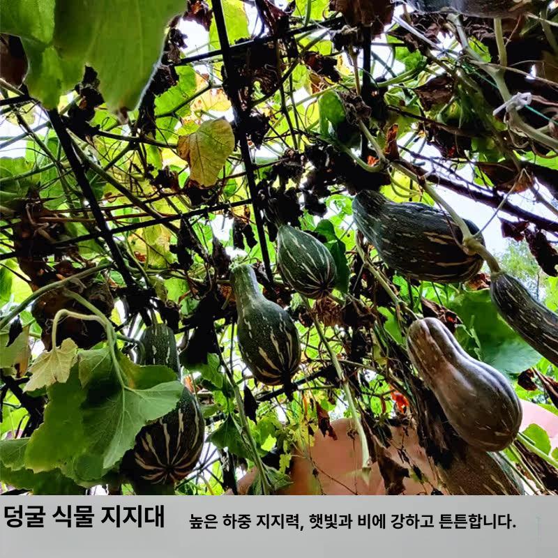 포도나무 지지대 아치 정원 장미넝쿨 화단 식물 특대 울타리 지주대 포도 덩굴 - 상세 이미지 4