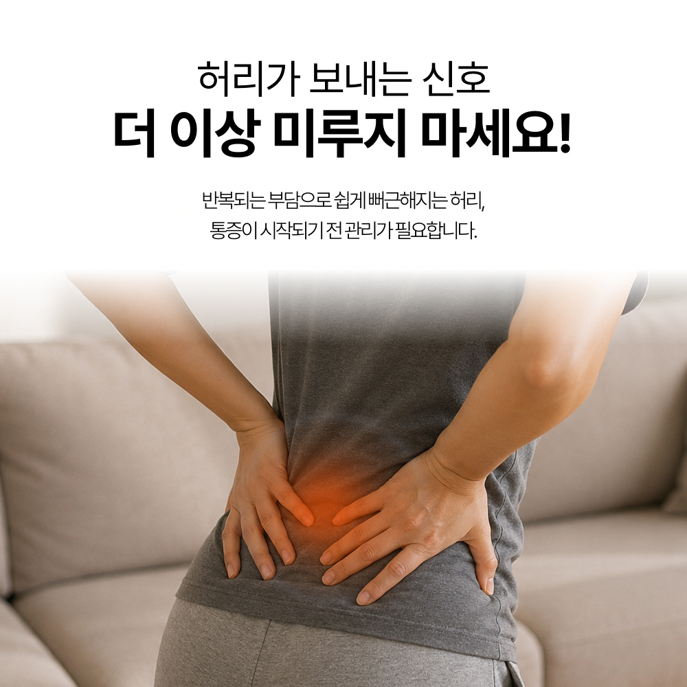 브메르 의료용 허리 보호대 복대 디스크 척추 지지대 이미지 6