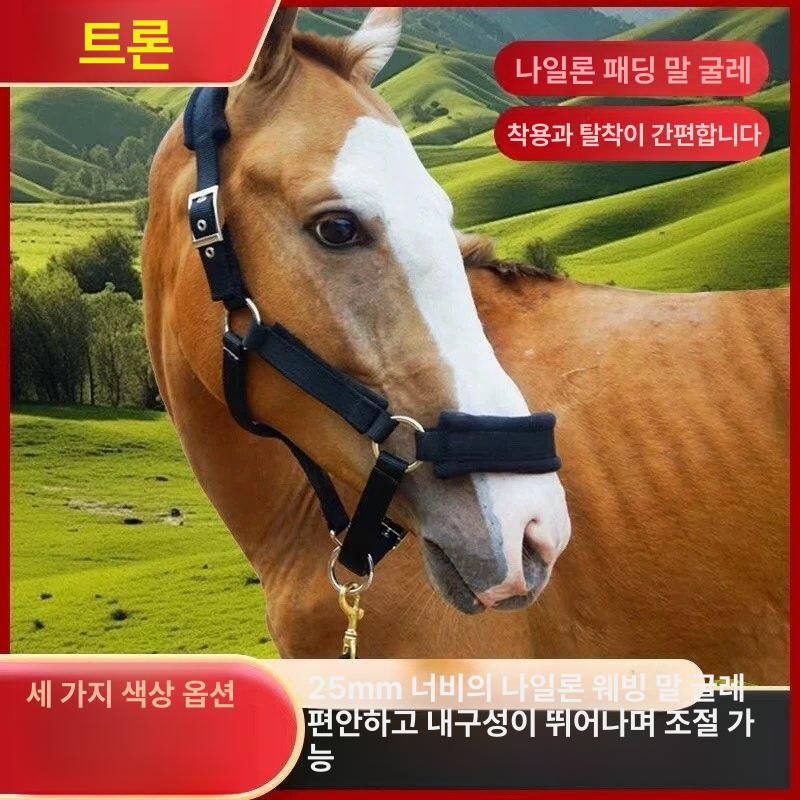 마방 말고삐 컬러 헤드 승마용품 견마끈 튼튼한 마구 조정끈 리드줄 패딩 얼굴끈 - 상세 이미지 3