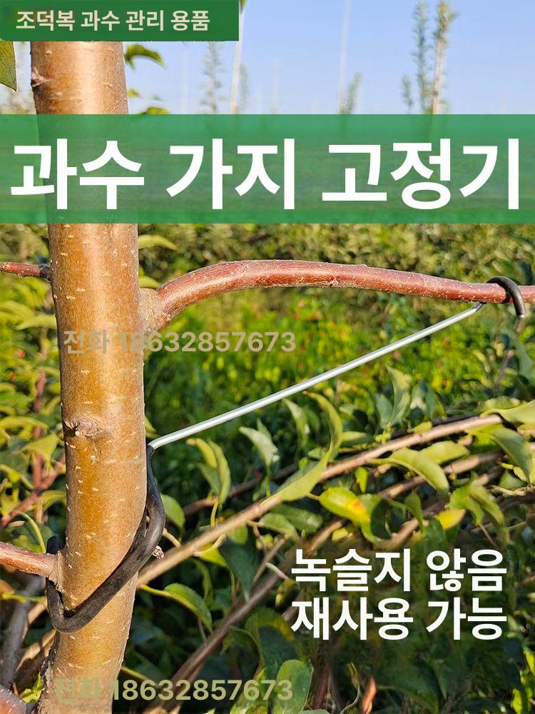 원예 거치대 고정링 클립 과수나무 개량형 식물 정원 아연 재사용 사과나무유인추 - 상세 이미지 2