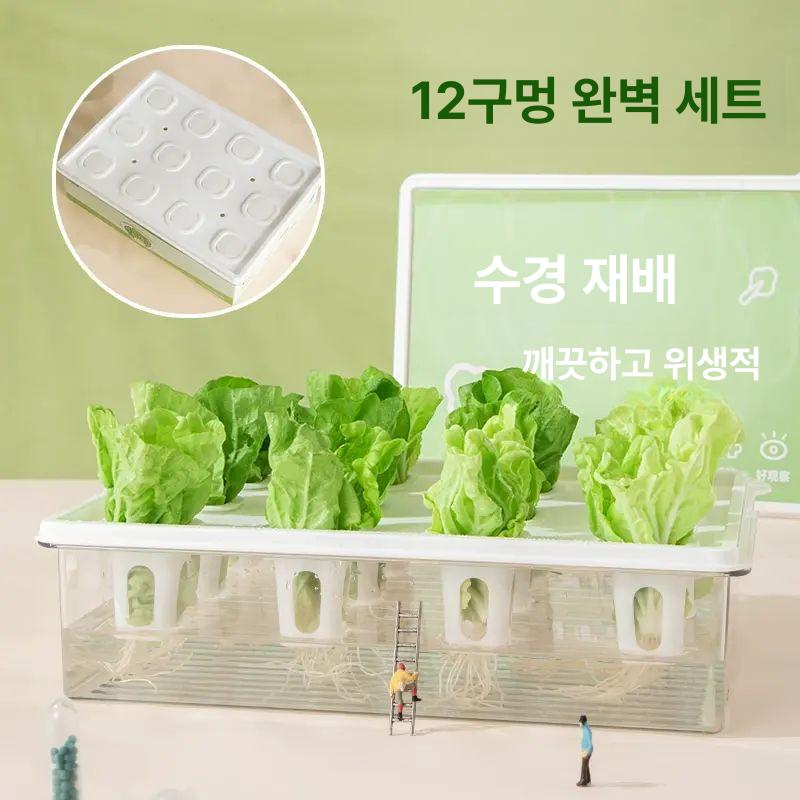 가정용 수경재배기 채소 베란다 텃밭 파이프 재배 채소재배기 화분 온실 실내 식물재배기 - 상세 이미지 2