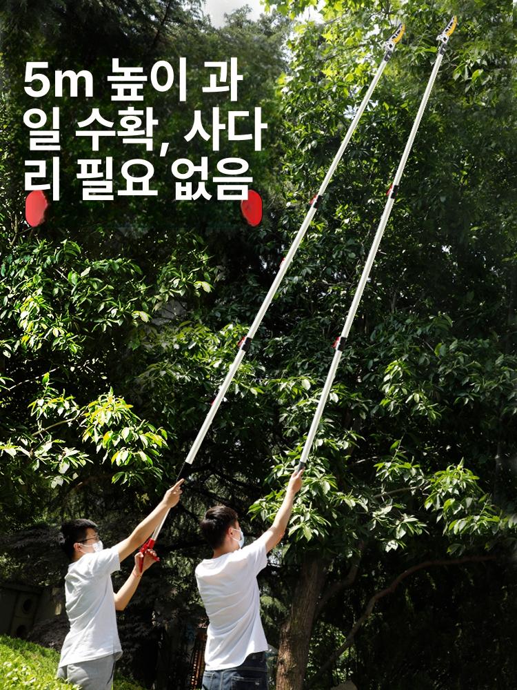 과수원 도구 열매 고지가위 전정 전지가위 밤 감따는기구 폴 피커 과일수확기 원예용 - 상세 이미지 2
