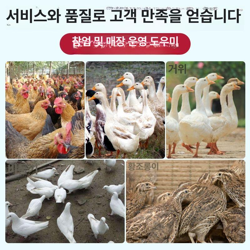 닭털 뽑는기계 터보 농장 오리 뽑기 농원 제거기 가금류 가정용 상업용 제모 업소용 - 상세 이미지 5
