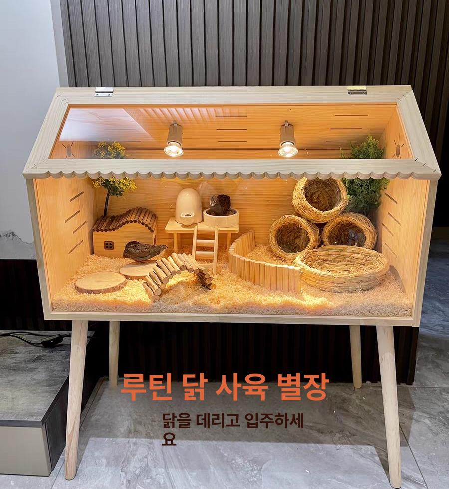 병아리사육장 육추기 메추리집 병아리집 온도조절 하우스 - 상세 이미지 2