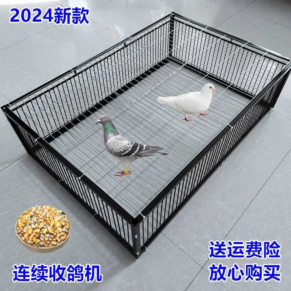 새장 포획망 울타리 사냥 퇴치 야생 비둘기포획틀 포획기 함정 꿩 비둘기덫 유해조류 - 상세 이미지 5