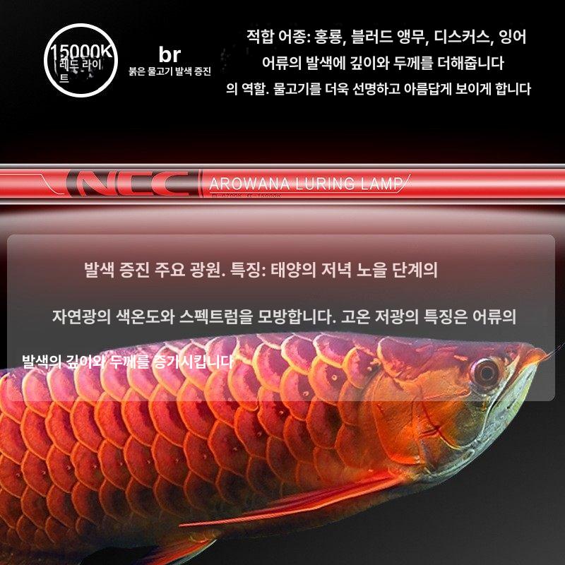 수조램프 금용태닝등 방수 수족관 조명 수중등 어항등 색상 수초 수조태닝등 - 상세 이미지 4