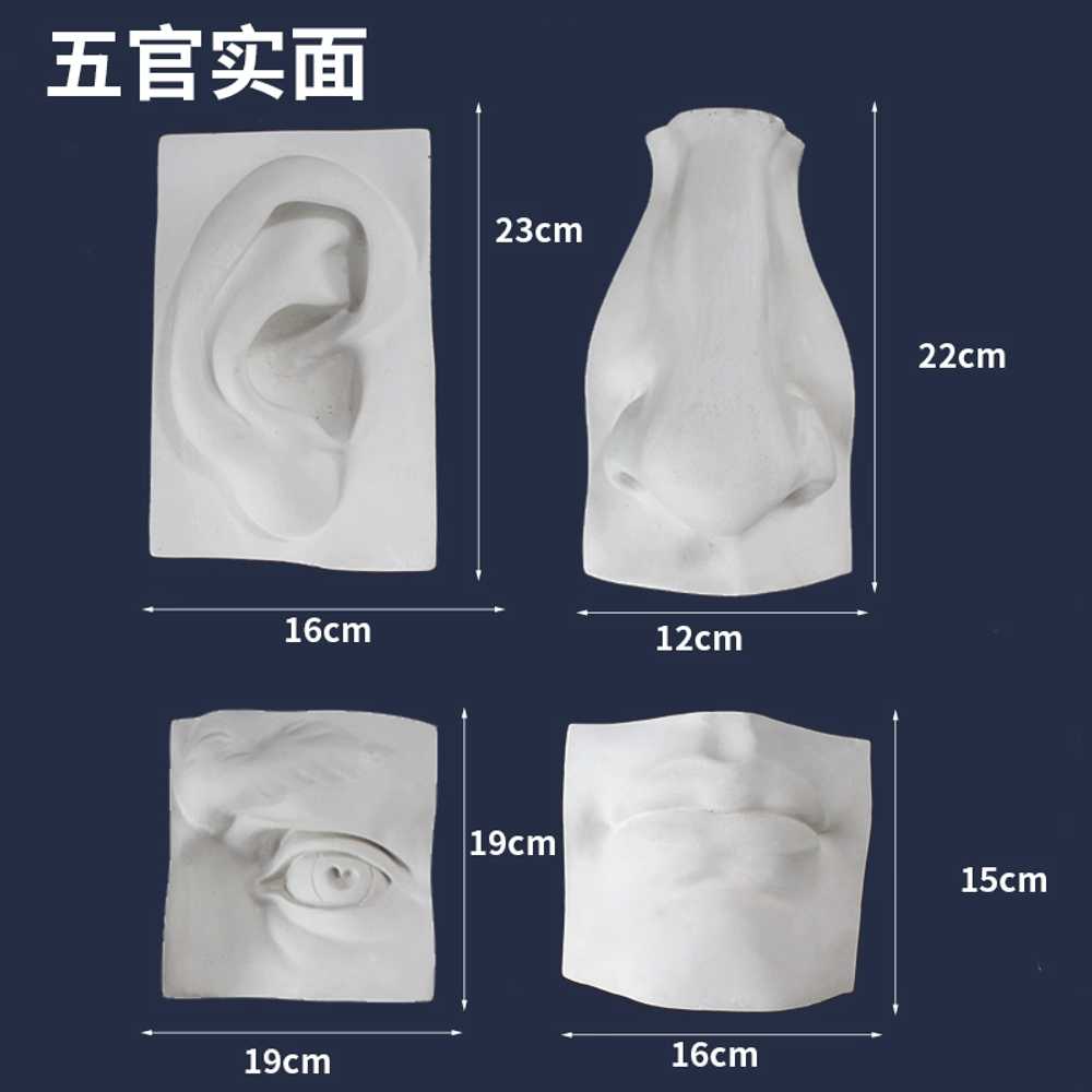 귀 코 석고상 교구 구비 손 발 아트 조각모델 소묘 인테리어 장식품 각진 신체부위 - 상세 이미지 3