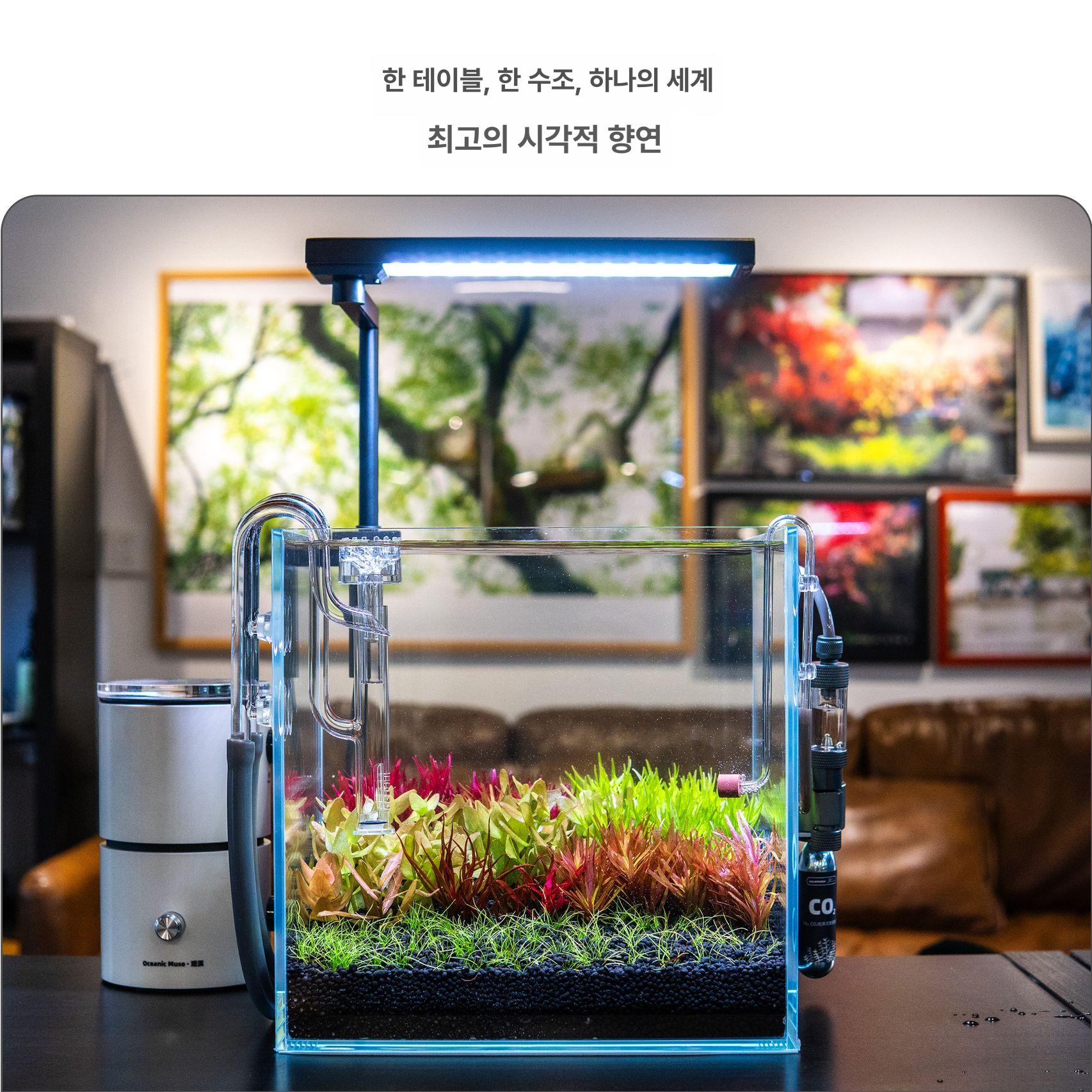 수조 어항스팟조명 산호 해수 스펙트럼 물고기 슬림 식물 수초스팟조명 조명 관상어 성장 - 상세 이미지 2