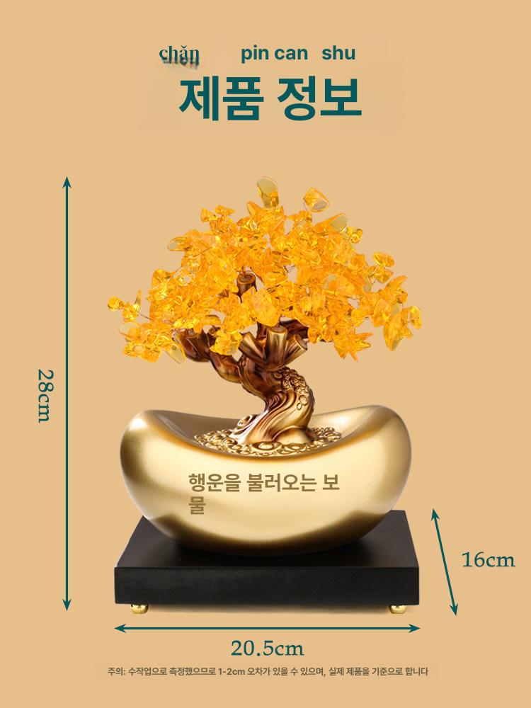 금전수 황금돈나무 선물 풍수 머니 인테리어 장식 개업화분 재물나무 행운목 번영 - 상세 이미지 4