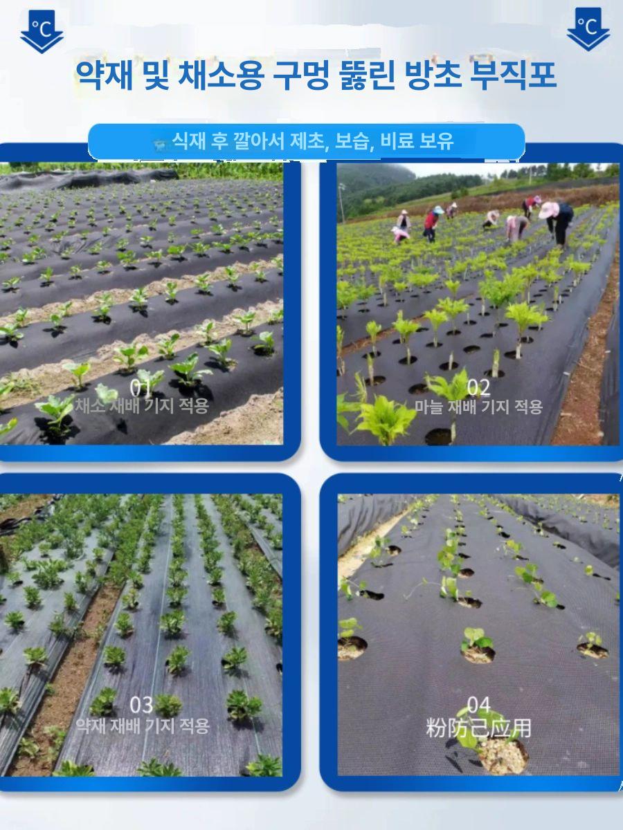 농업용 방초포 구멍 밭 멀칭 비닐 고추 마늘 화훼 원예 전용 부직포 방수 - 상세 이미지 3