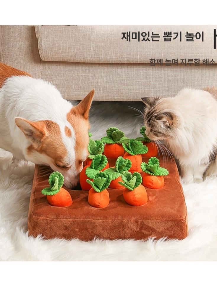 고양이 장난감 당근 밧줄 캣완트 간식넣는 반려묘 고양이용 - 상품 이미지