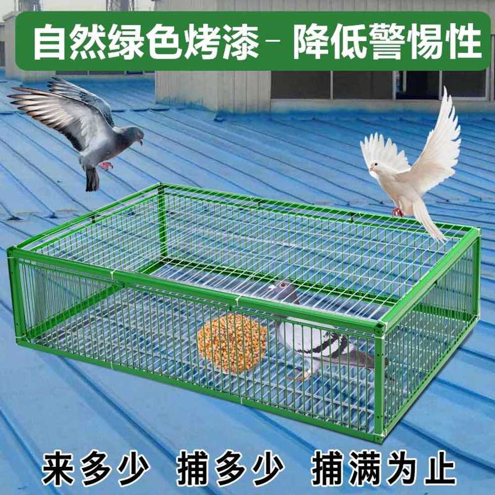 새장 포획망 울타리 사냥 퇴치 야생 비둘기포획틀 포획기 함정 꿩 비둘기덫 유해조류 - 상세 이미지 3
