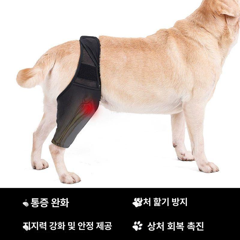 강아지슬개골보호대 레그 회복 대형견 허벅지 관절 밴드 강아지 인대 가드 찢어진 가능한 - 상세 이미지 2