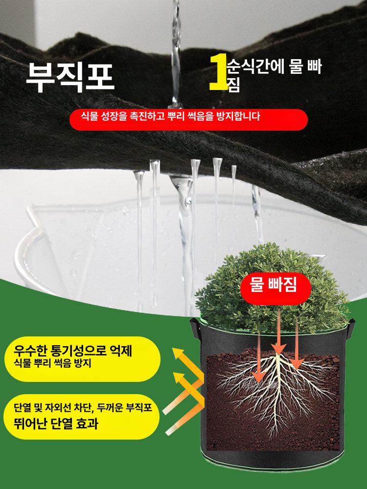 토마토 상추 채소 씨앗 실내 베란다 수경재배 가정용 텃밭 흙 부직포 화분 세트 - 상세 이미지 4