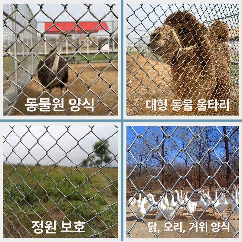 안전 pvc코팅능형망 담장 철조망 두께 닭장망 높이 염소울타리 구멍 사이즈 청색 - 상세 이미지 5