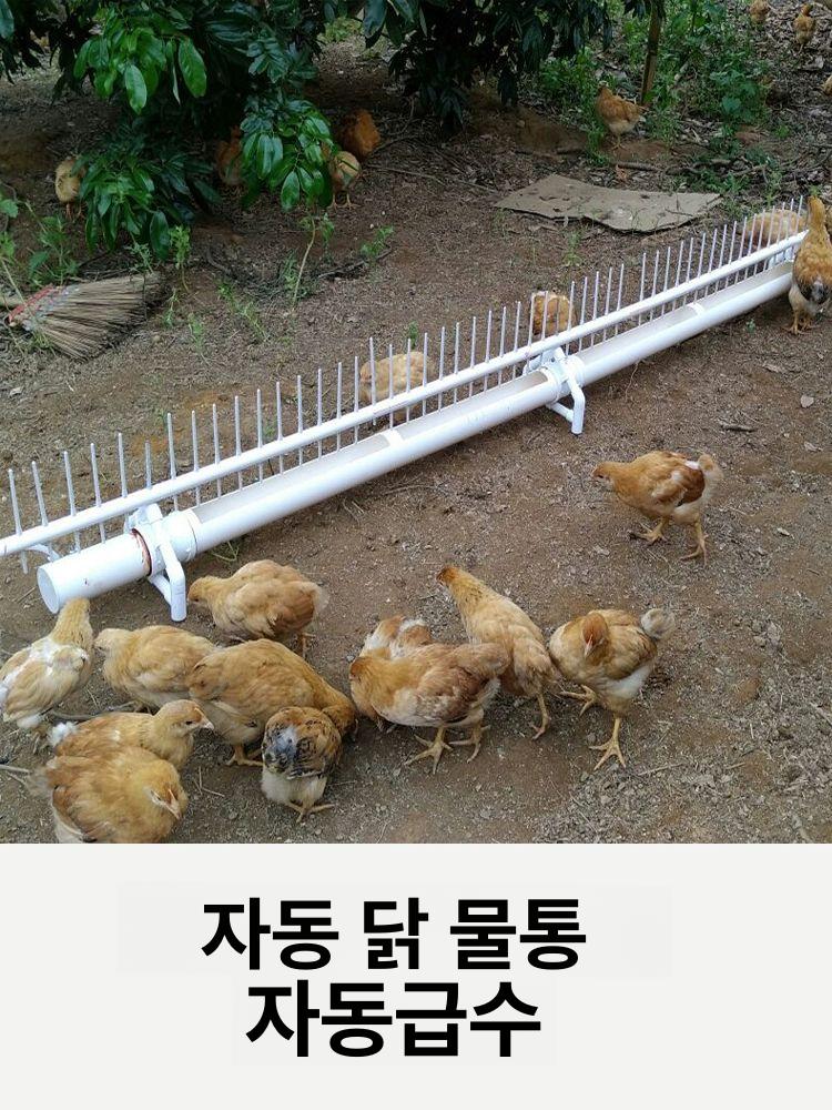 닭 자동급수기 축사 오리 물통 가금류 조류 식수대 - 상세 이미지 2
