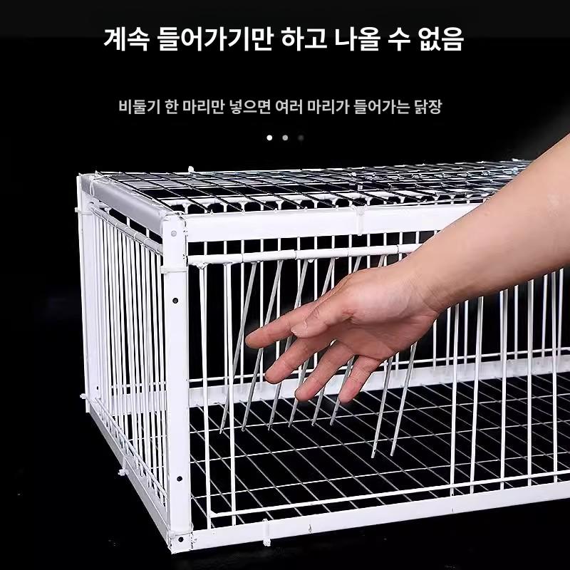 참새덫 케이지 철제 포획 트랩 포획틀 조류 새 까마귀 새덫 포획망 사냥 까치 포획용덫 - 상세 이미지 4