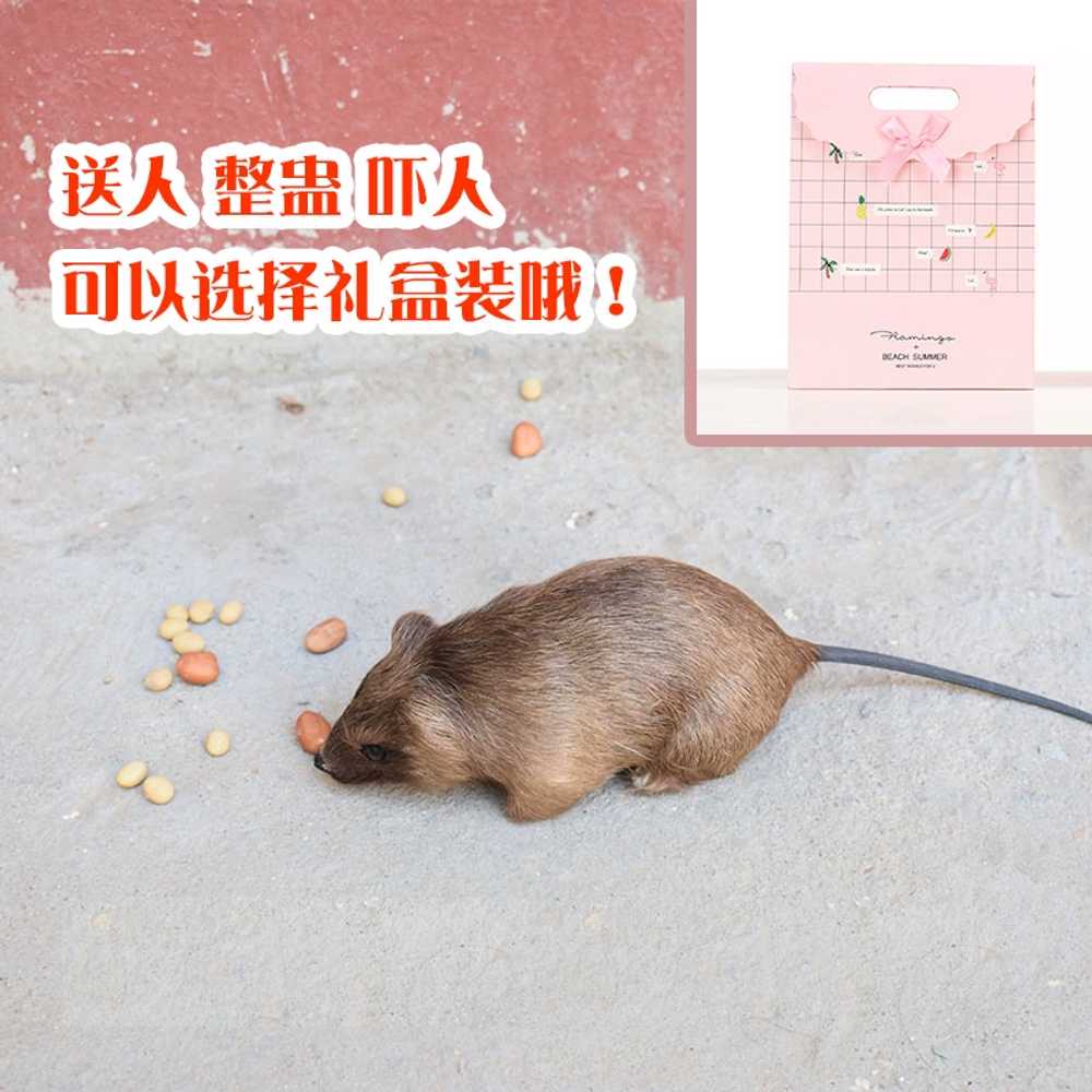 동물 리얼한 가짜 장식품 장식소품 쥐인형 귀여운 파티인테리어 쥐모형 선물 요리사 - 상세 이미지 2