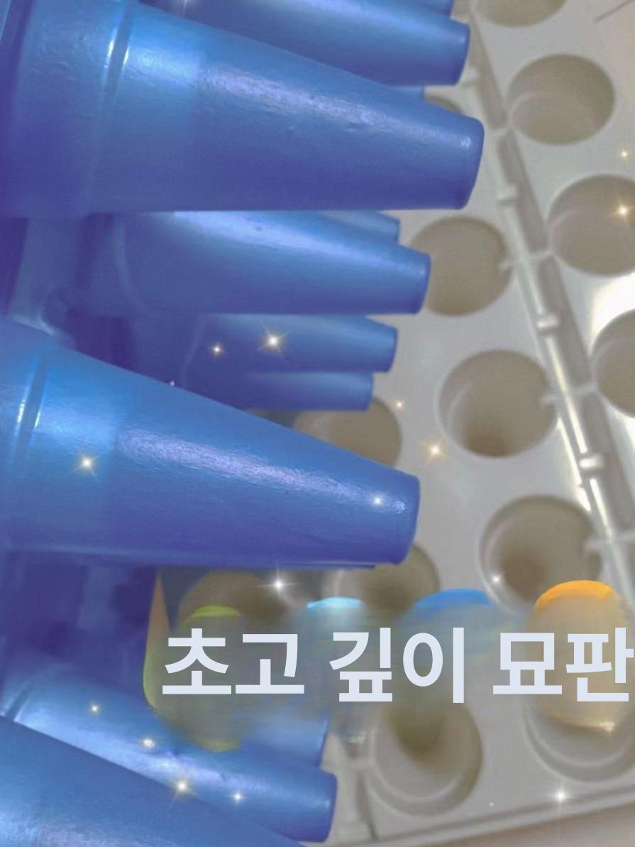 발아 새싹 모종트레이 식물 육묘판 삽목판 육묘상자 모판 화분 가정용 파종포트 - 상세 이미지 2