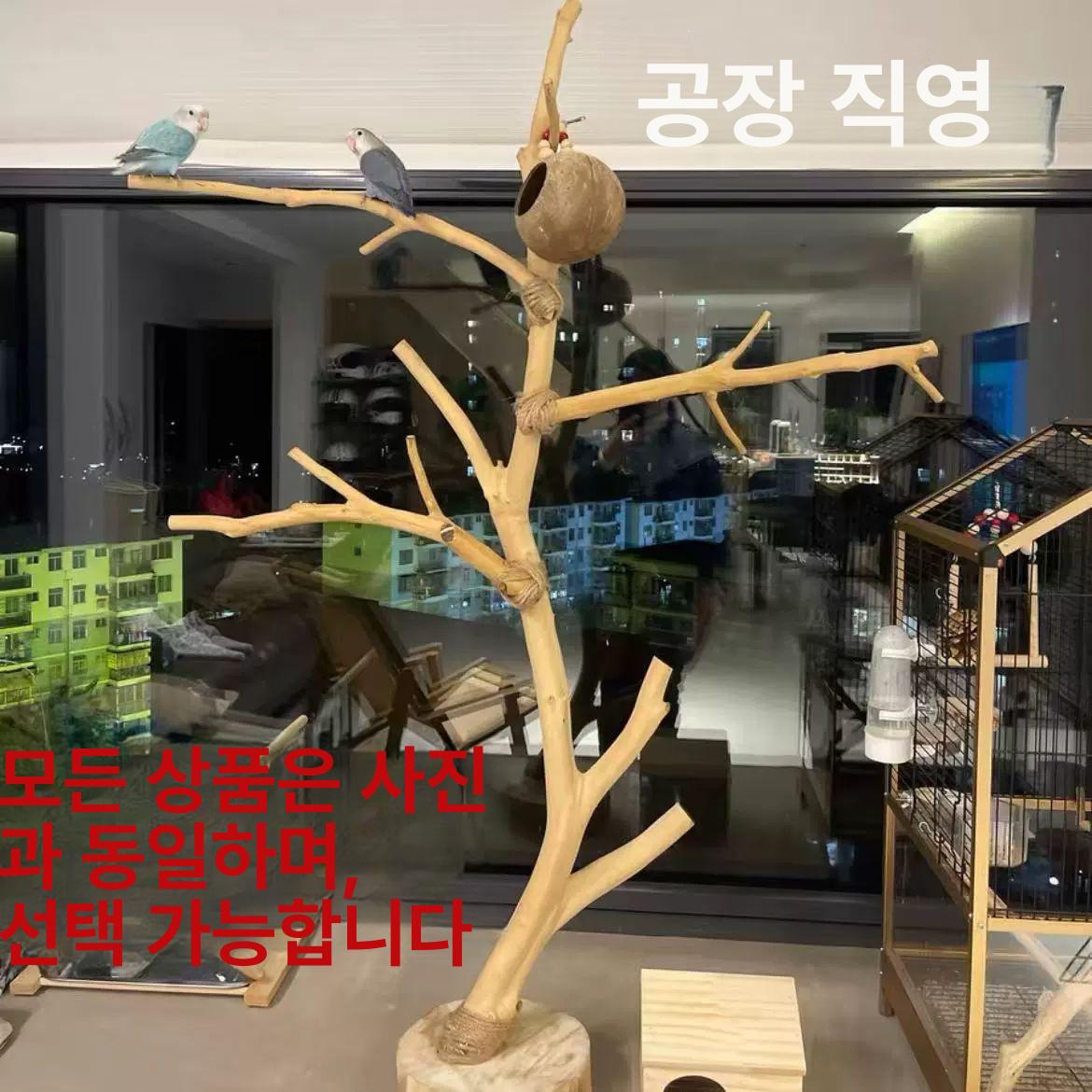 용품 앵무새놀이터 장난감 날림장 자바트리 나무가지 훈련 단단한 - 상세 이미지 5