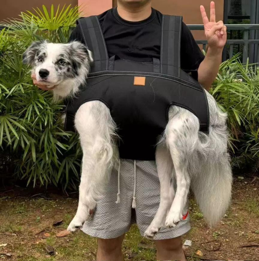 대형견 이동가방 포대기 백팩 이동 반려견 가방 블랙 리트리버 외출용 대형견백팩 산책 - 상품 이미지