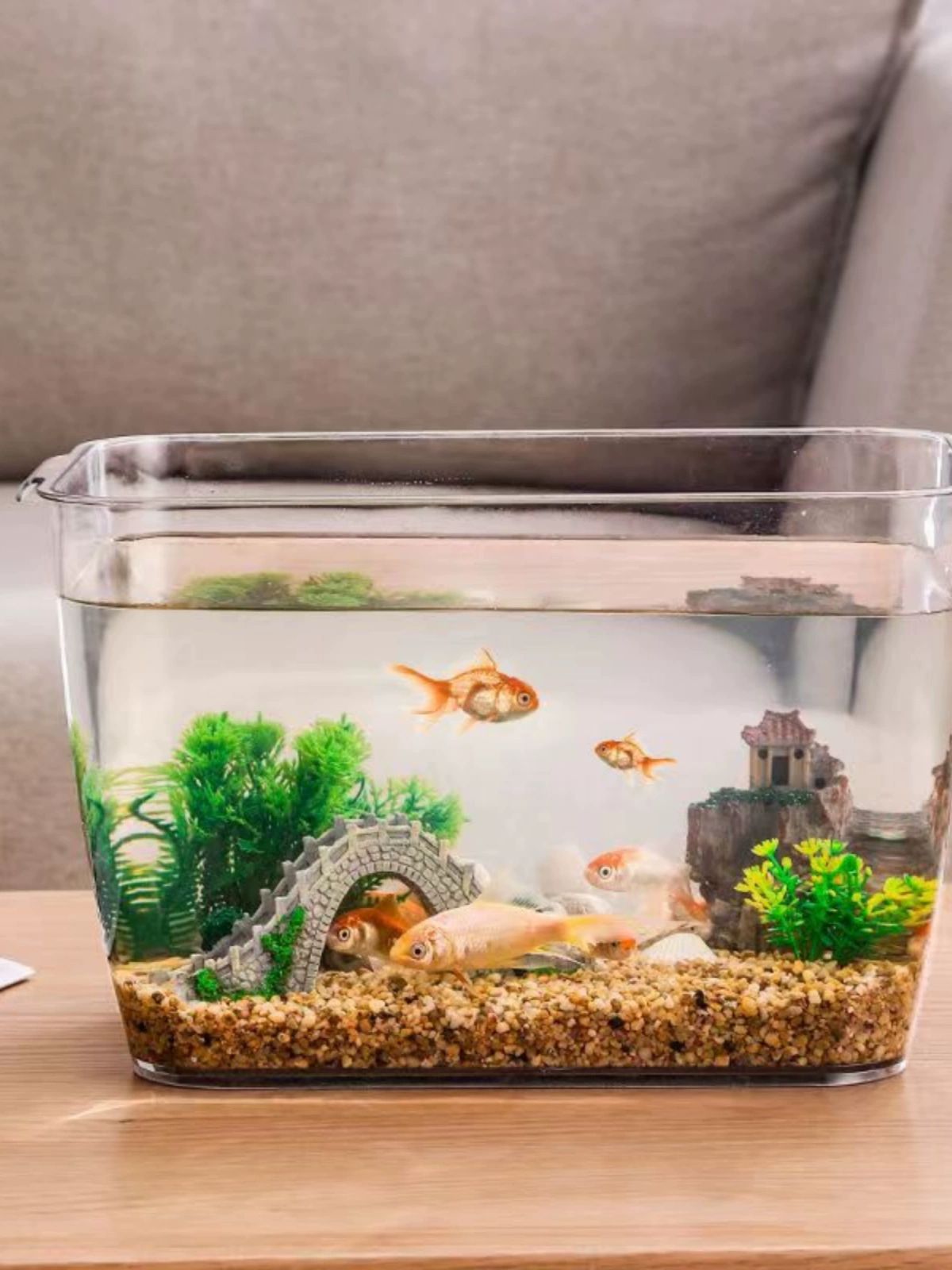 안깨지는 아크릴 PET 직사각형 투명 미니 수족관 물고기 거북이 금붕어 관상용 소형 어항 - 상세 이미지 4