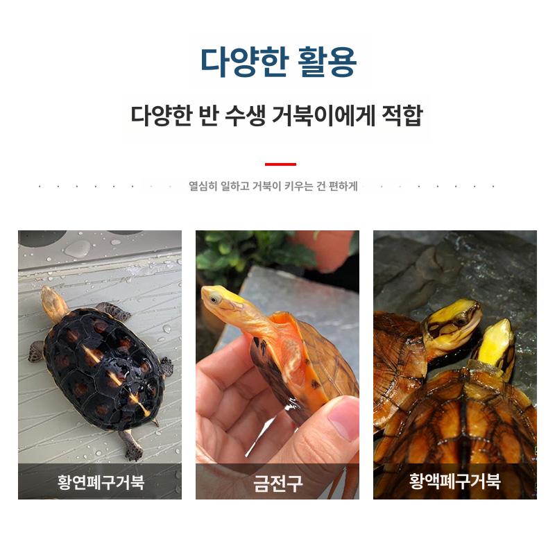 반수생 거북이수조 플라스틱 초대형 초대형플라스틱수족관 사육장 거북이집 블랙거북이 수족관 - 상세 이미지 3